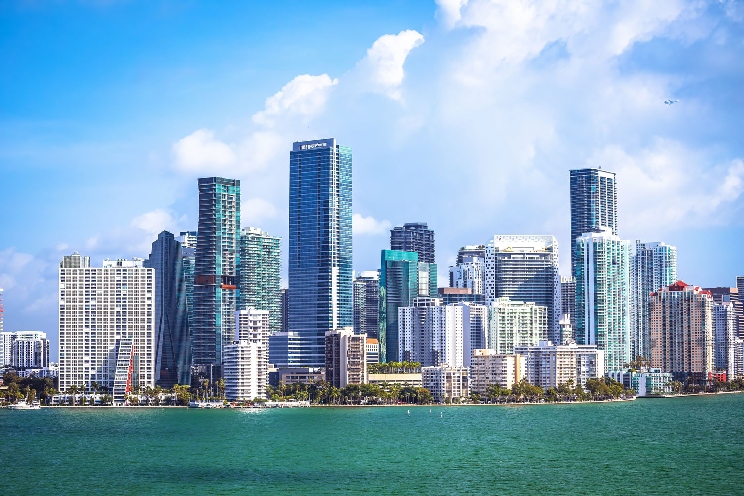 Why Working with a Local Luxury Expert Matters in Miami Real Estate